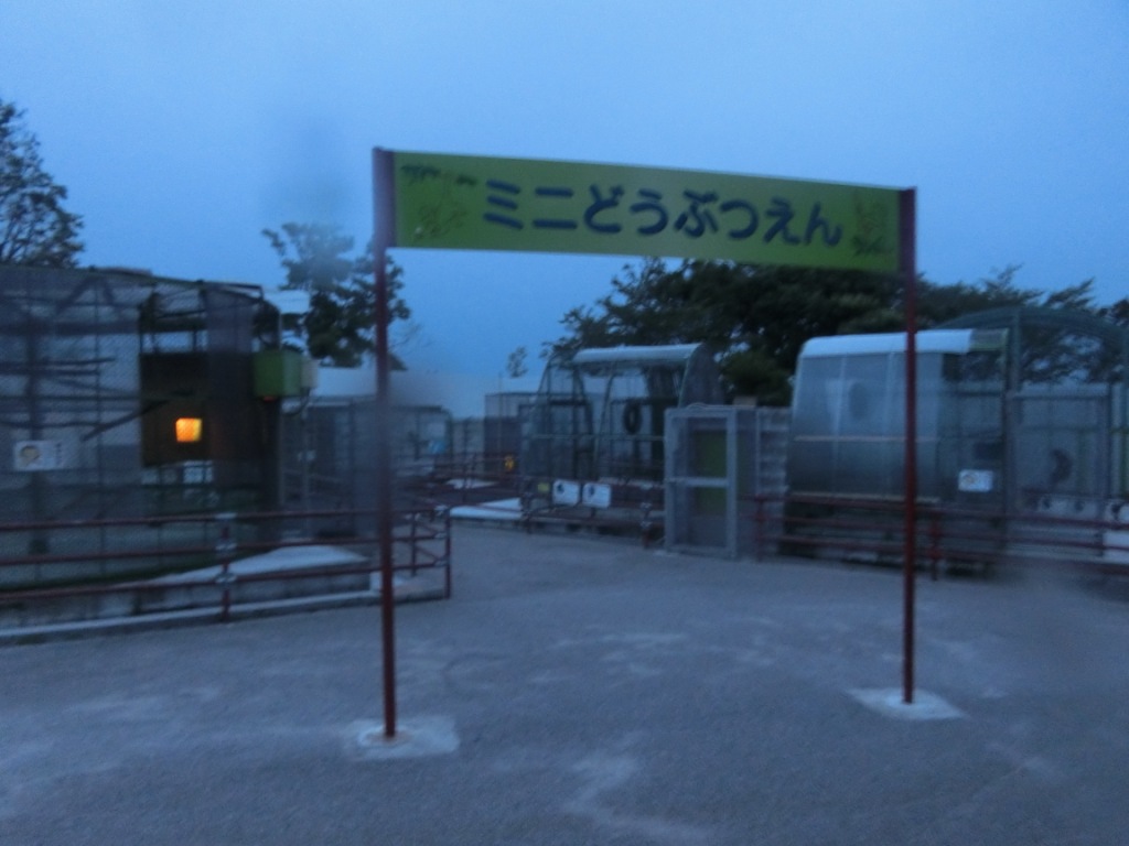 ６月２５日　夜の動物園