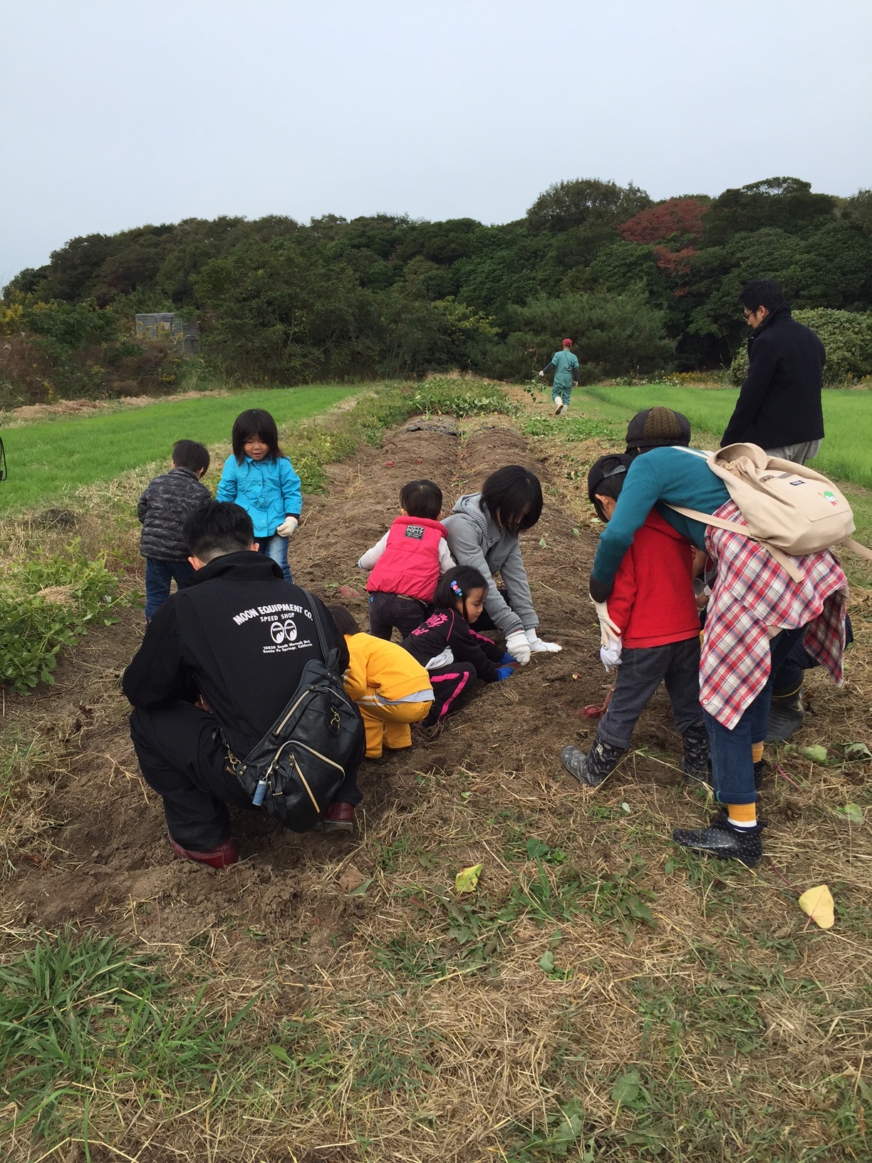 11月5日　収穫祭！