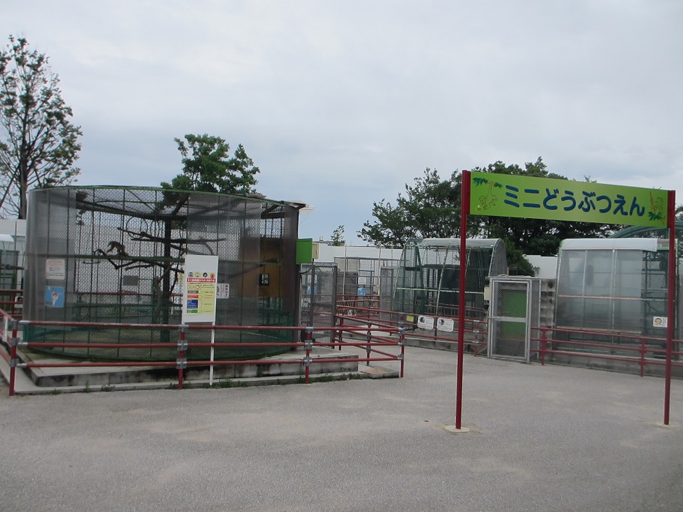 ９月１６日　ミニ動物園その後