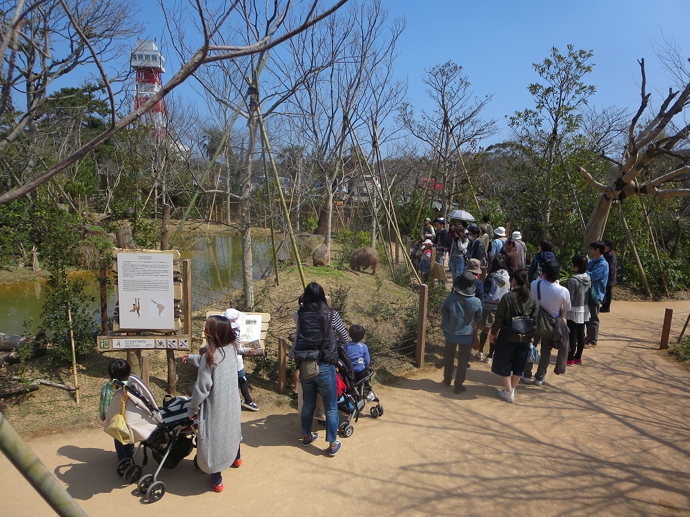 ３月２０日　ここにいるのは？