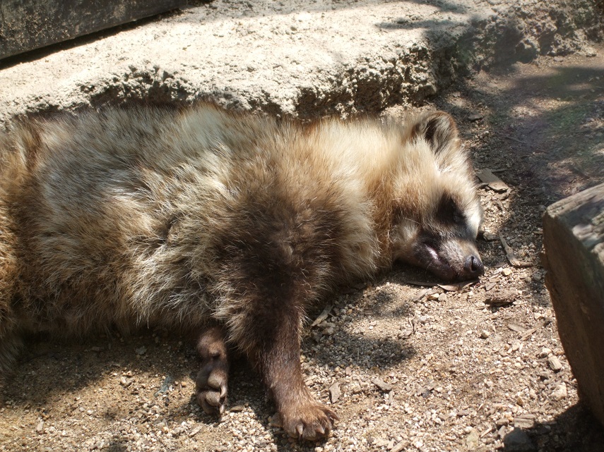 5月19日　飼育員の考えごと。