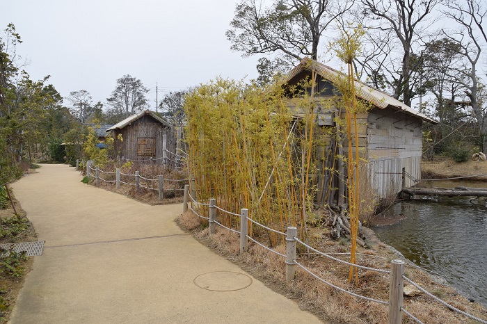 １月２３日　動物園内でウロウロキョロキョロしてみよう