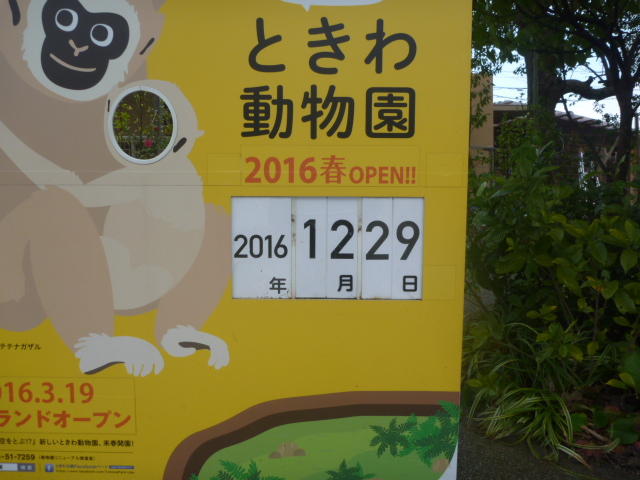 12月29日　今年最後の開園日