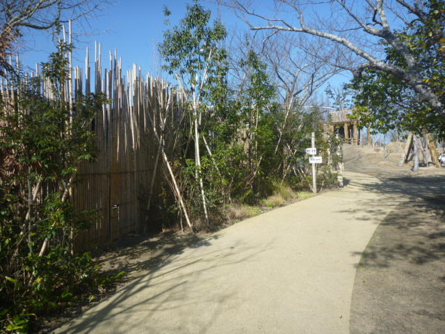 1月28日　年明けて　福袋と　のど袋