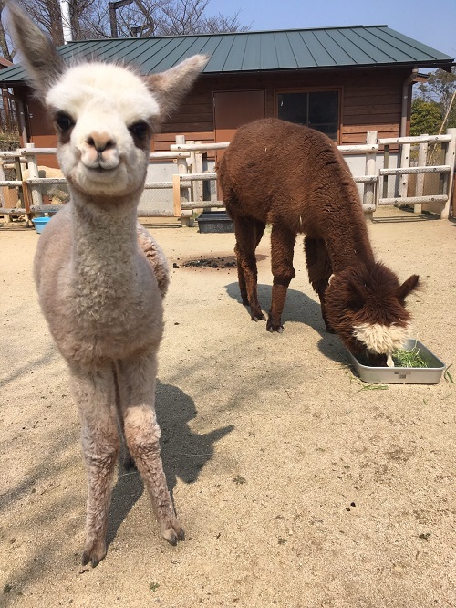 3月28日　あらためまして。