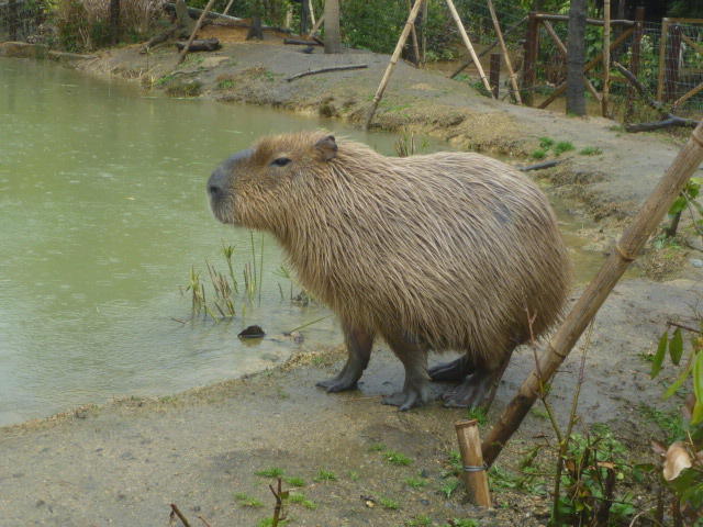 3月2日　雨の日便り