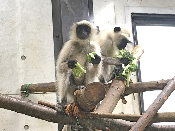 4月25日　新担当