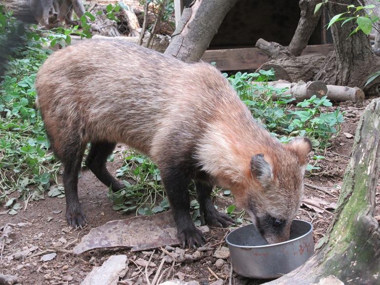 9月20日　飼育員の考えごと。