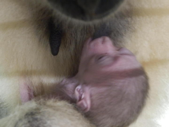 1月20日　こちらも子育て中