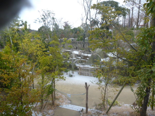 2月6日　立春でも寒い...