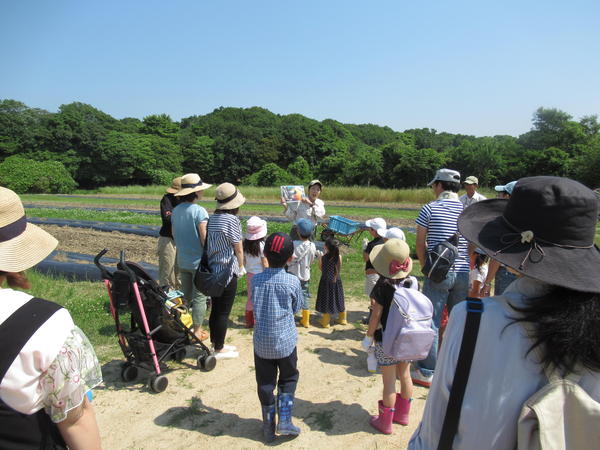 ６月9日　動物のエサを育てよう！