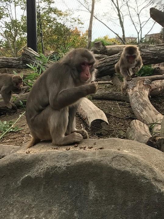 12月7日　飼育員の考えごと（感謝な気持ち＾＾）