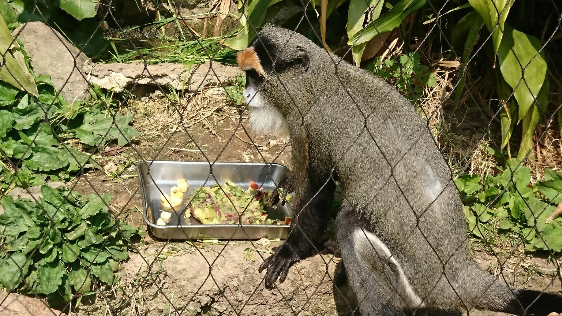 5月18日　ノンコのその後...。