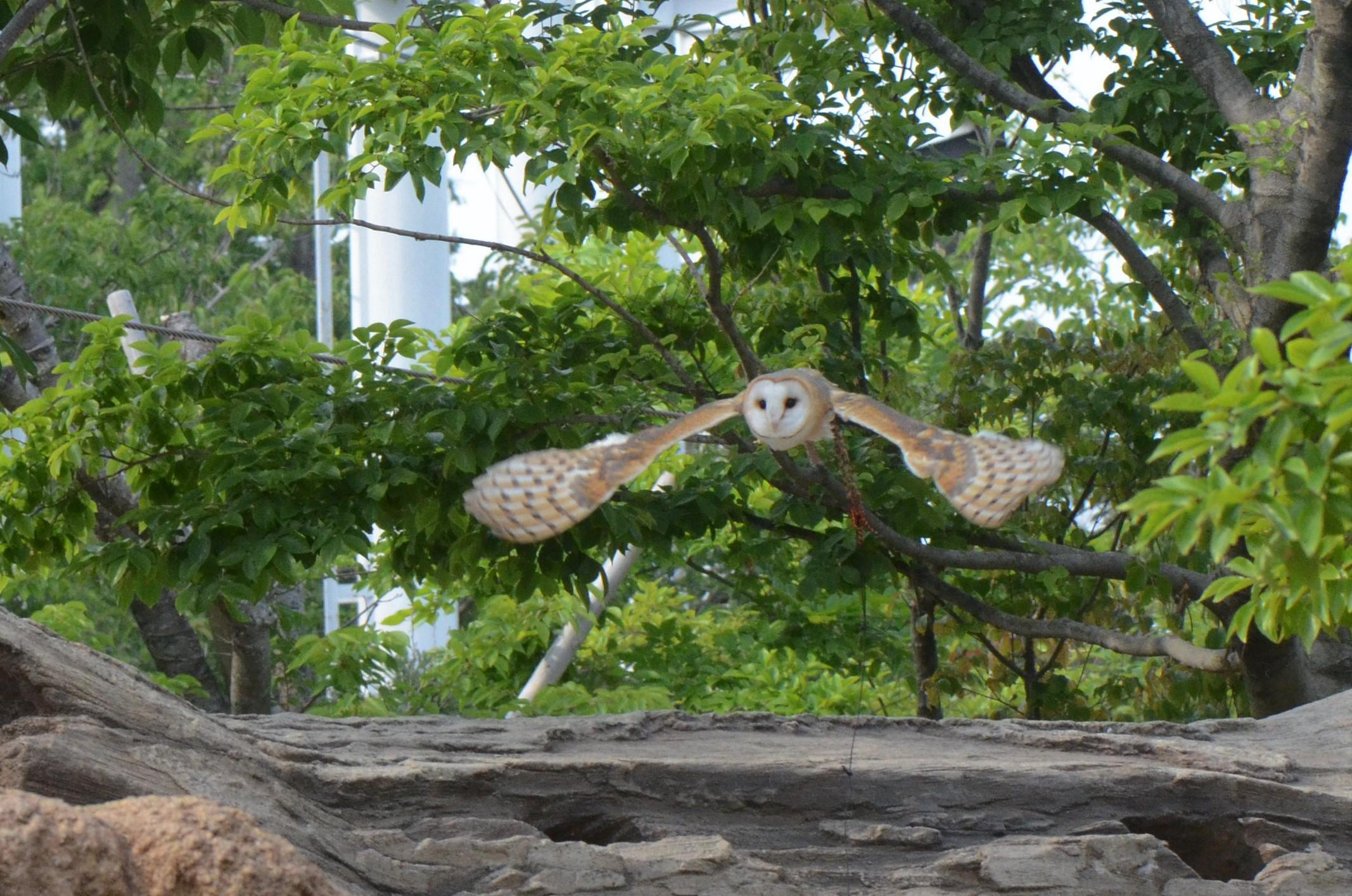 ８月５日　ちょっとおやすみ