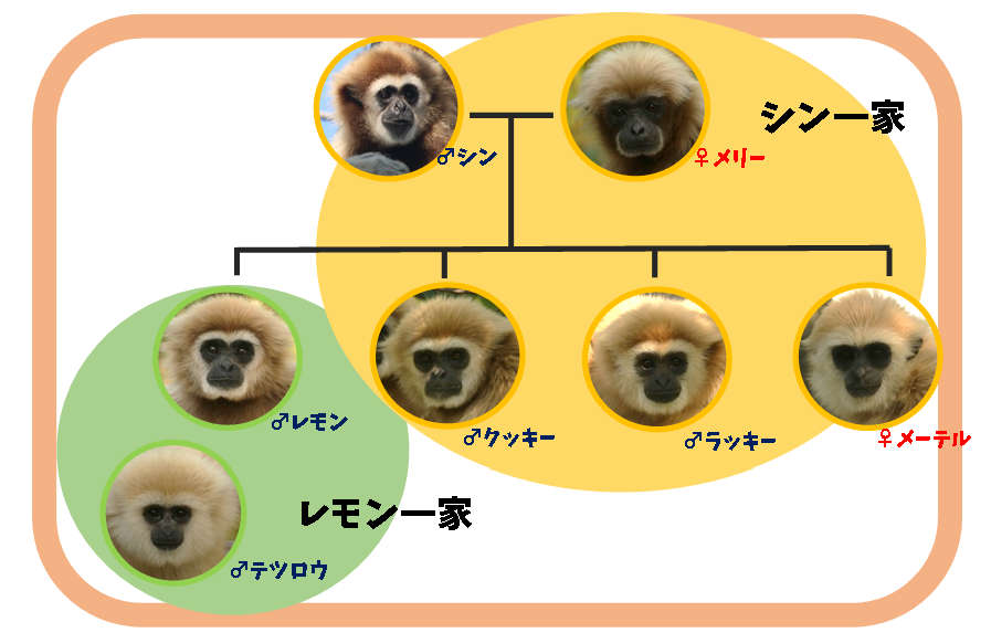 ２月１日　園内引っ越し