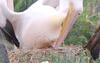 8月7日　飼育員の考えごと。
