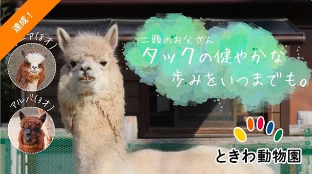 11月9日　クラファン第一目標達成！!