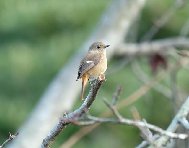 1月1日　冬に出会いがあるカモ...？