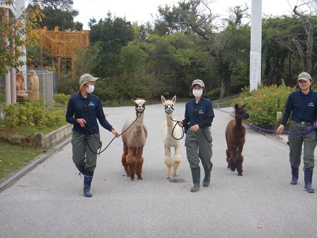 12月28日　クラウドファンディング終了のご報告とお礼