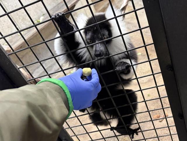 1月14日　お薬のあげ方大調査