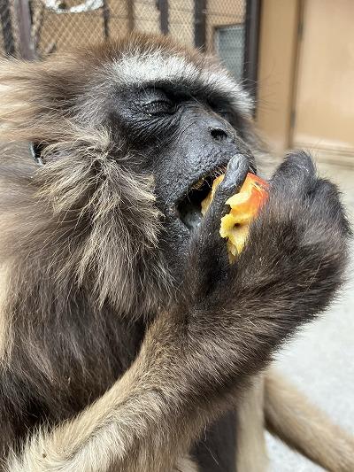 3月23日　カールさん