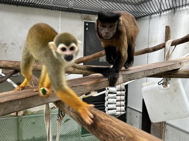 10月1日　仲良くなりました