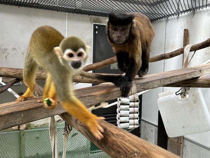 10月1日　仲良くなりました