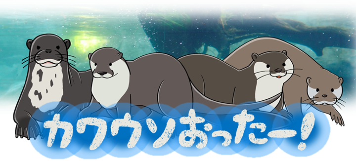 カワウソおったー！.png