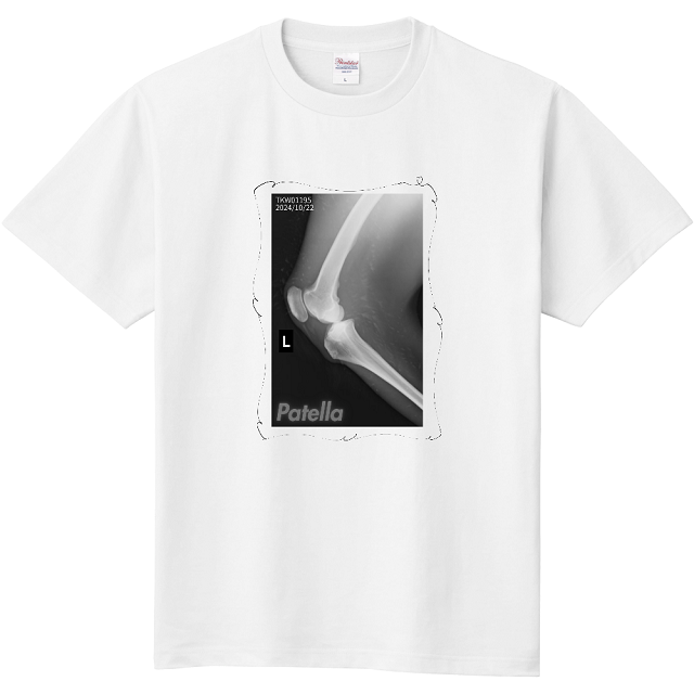 Tシャツ（骨）.png
