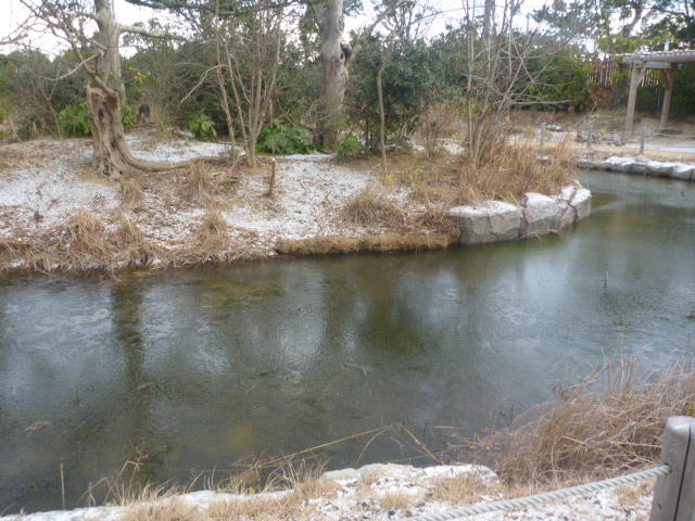 雪シロテ島.JPG