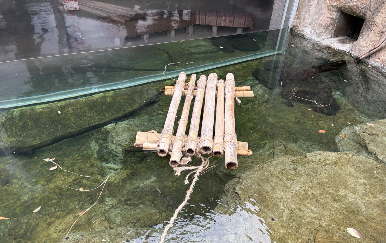 いかだ