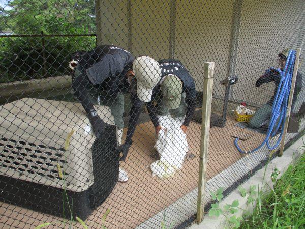 導入.JPG