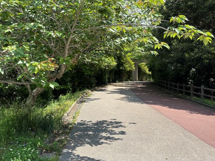 トンネル前.jpg