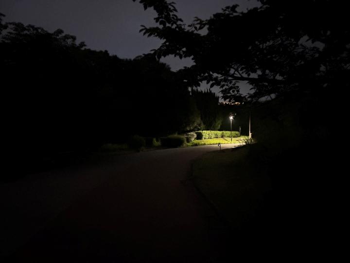 夜のときわ公園.jpg