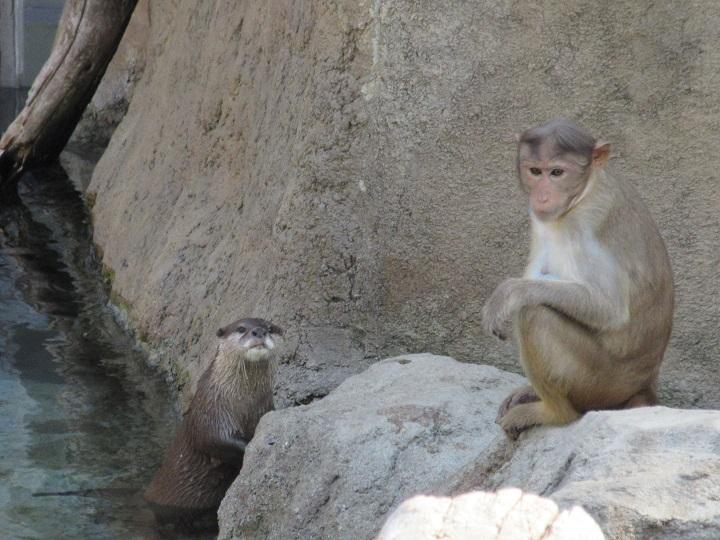 ショウとランチ.jpg