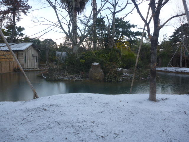 雪クモザル島.JPG