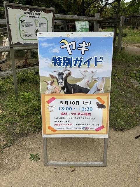 看.JPG