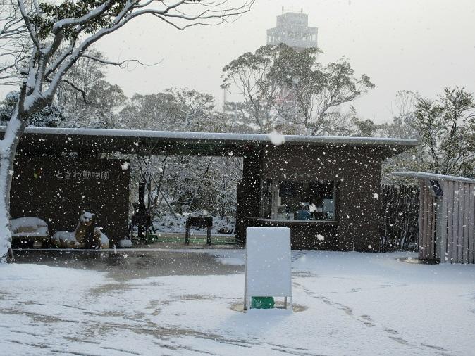 ときわ動物園雪.JPG