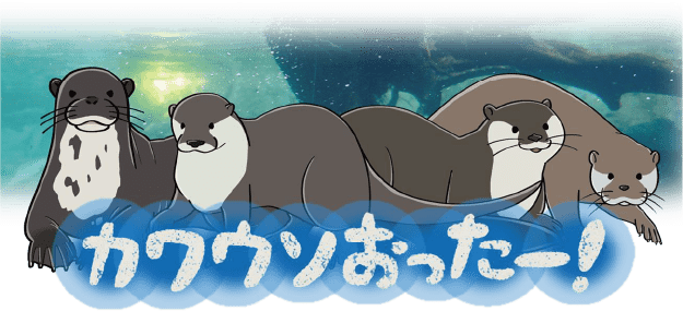 カワウソおったー！バナー