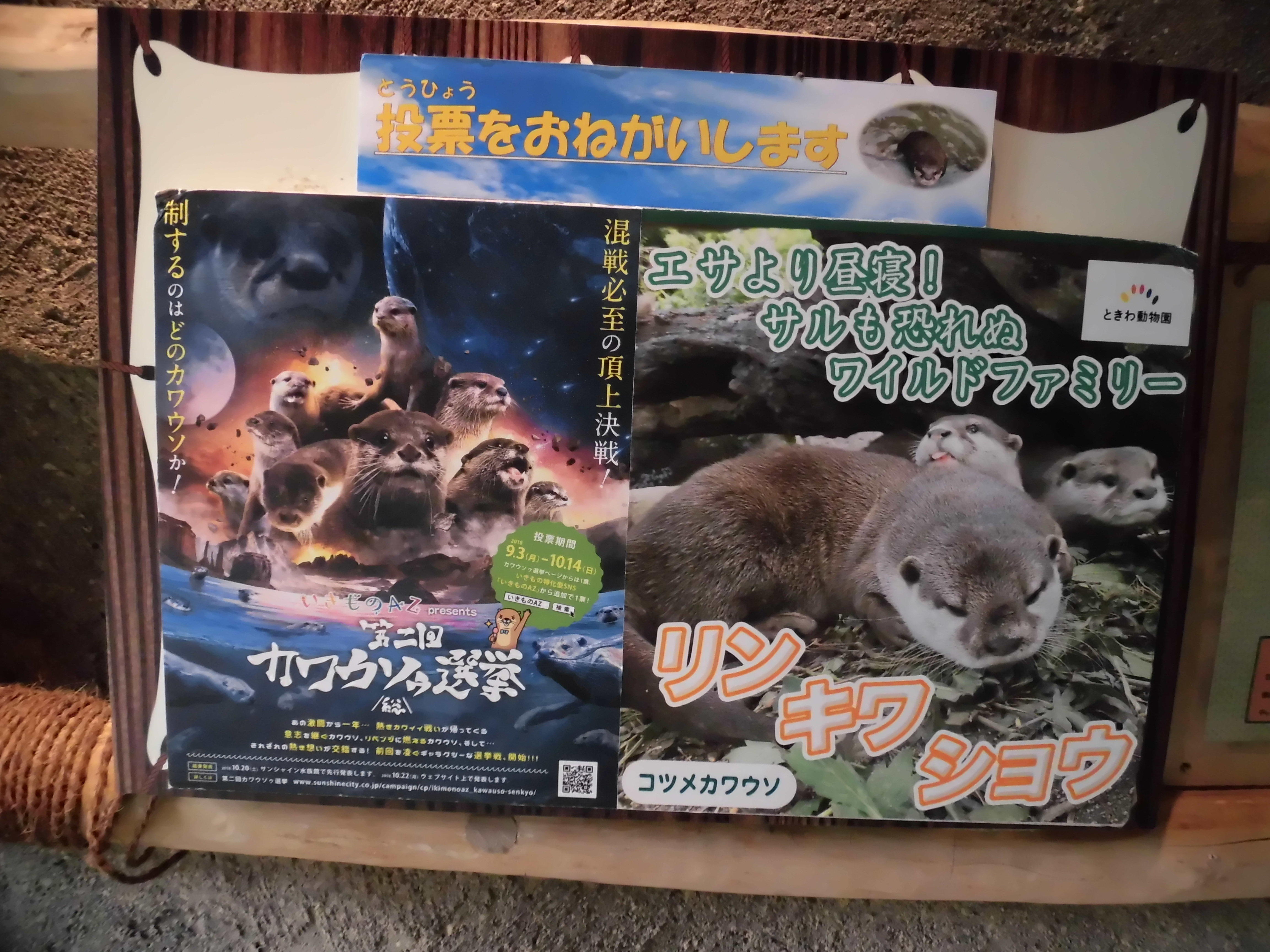 9月24日 エサより昼寝 飼育員ブログ ときわ動物園 ときわ公園 山口県宇部市