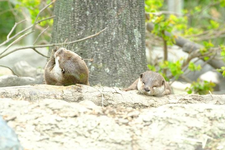 DSCF5729.JPG