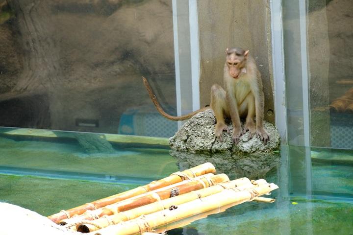 対岸ワッカ