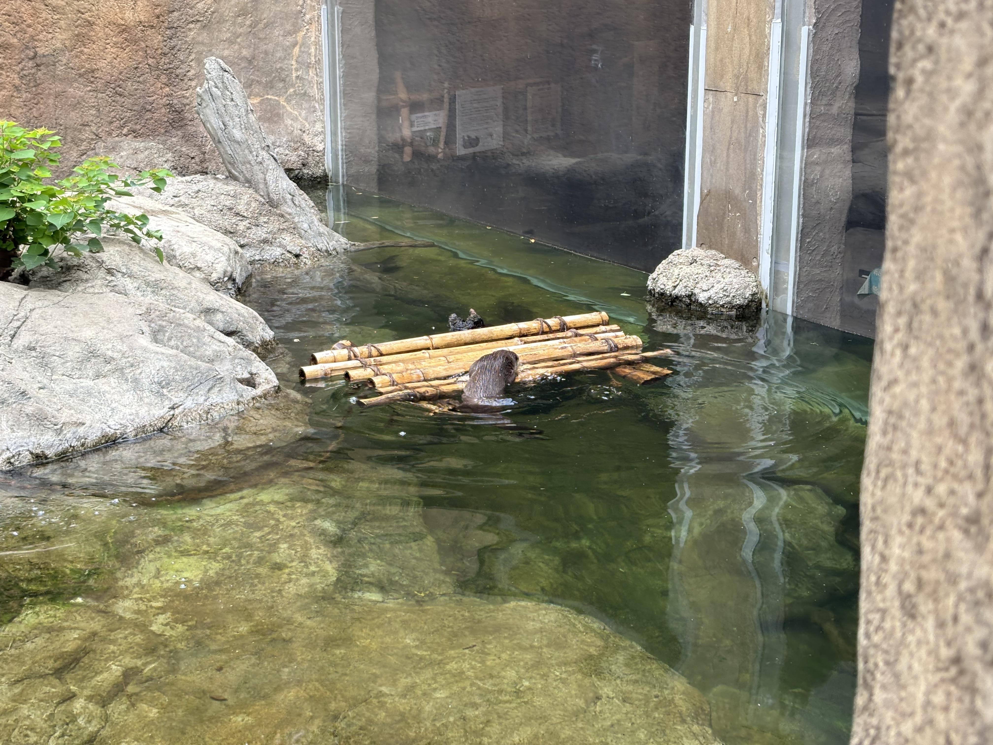 あごのせ