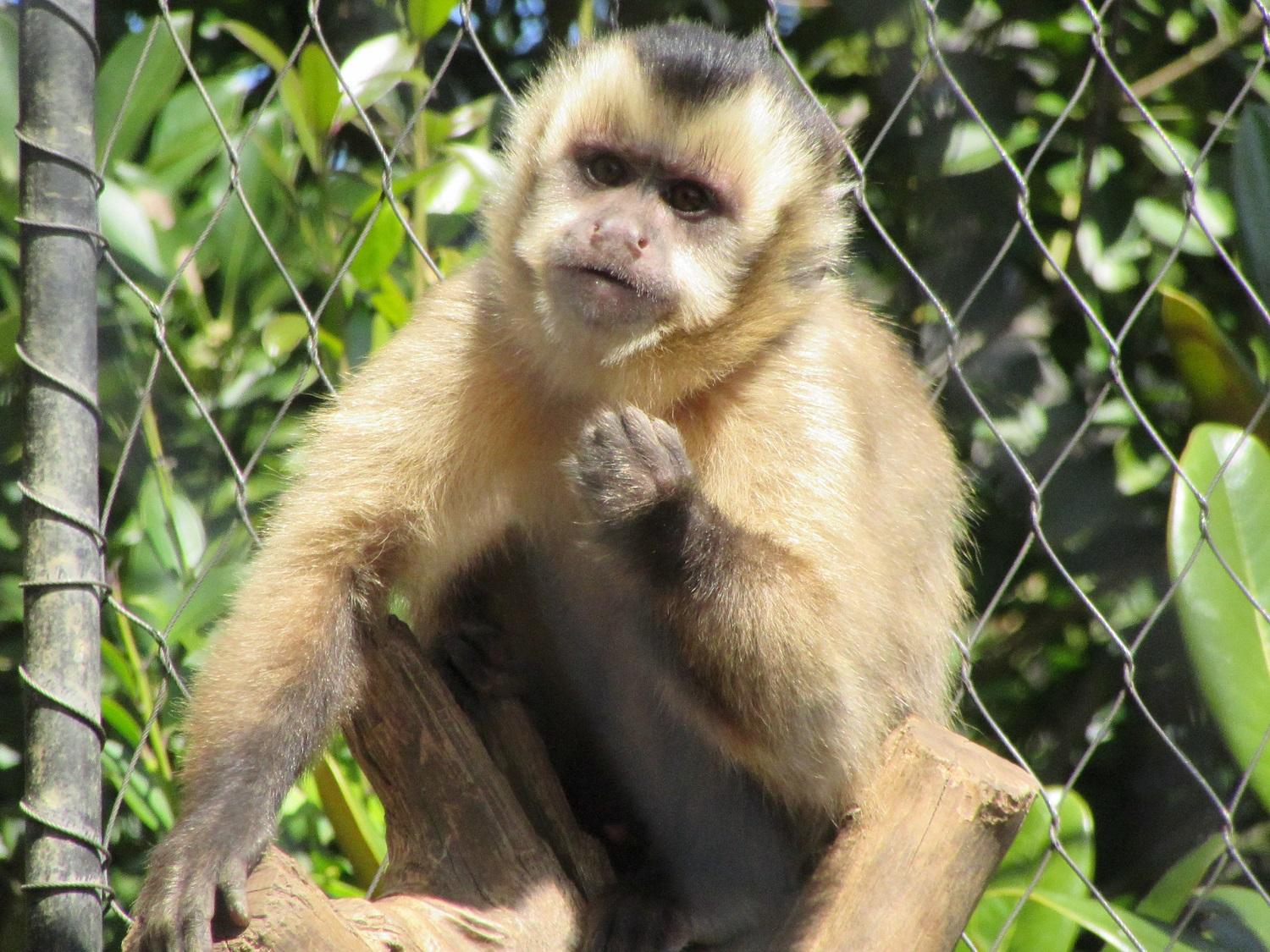 3月18日 看板作り 写真奮闘編 飼育員ブログ ときわ動物園 ときわ公園 山口県宇部市