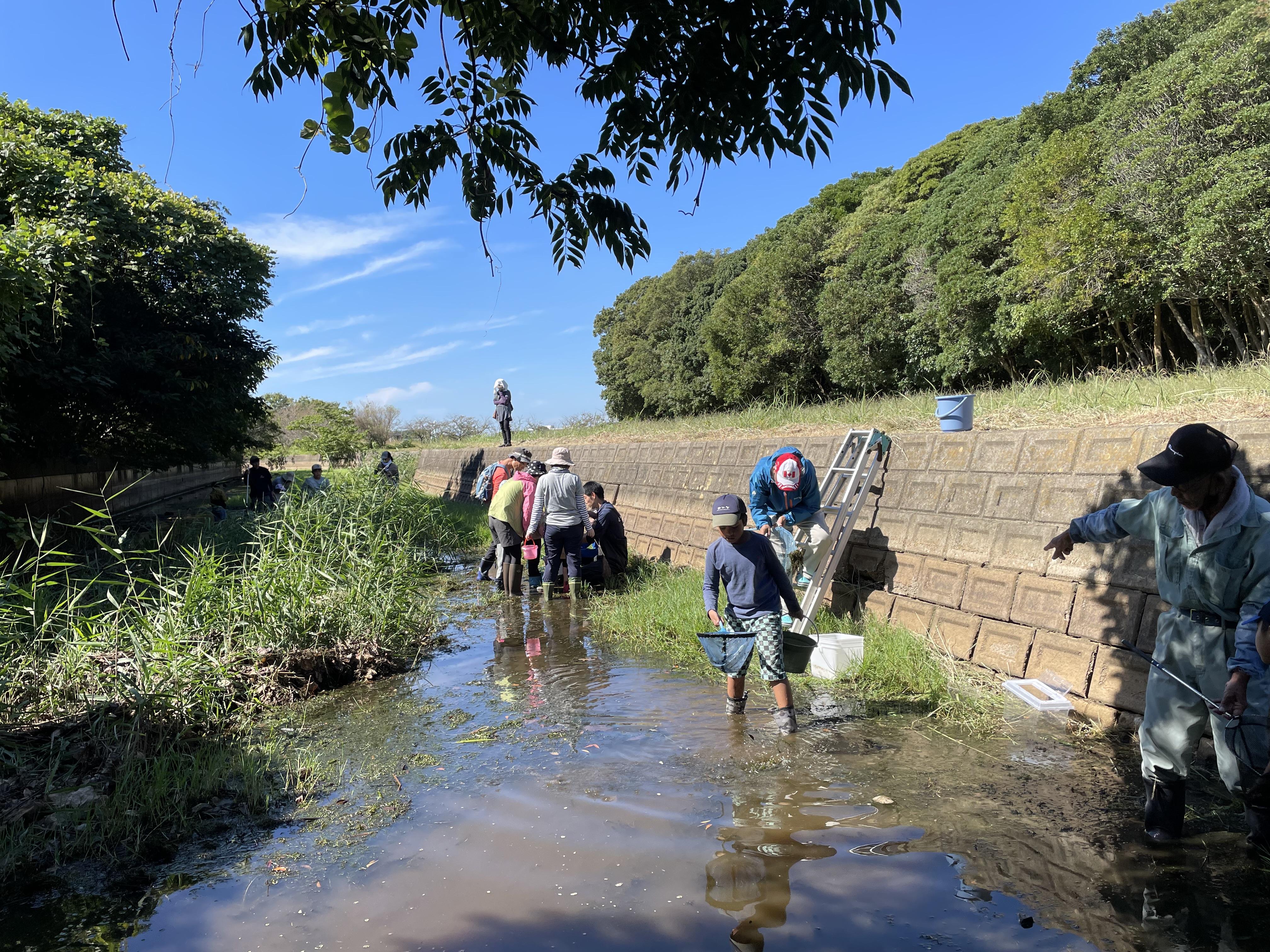 観察会