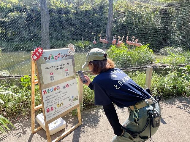 くいずJPG