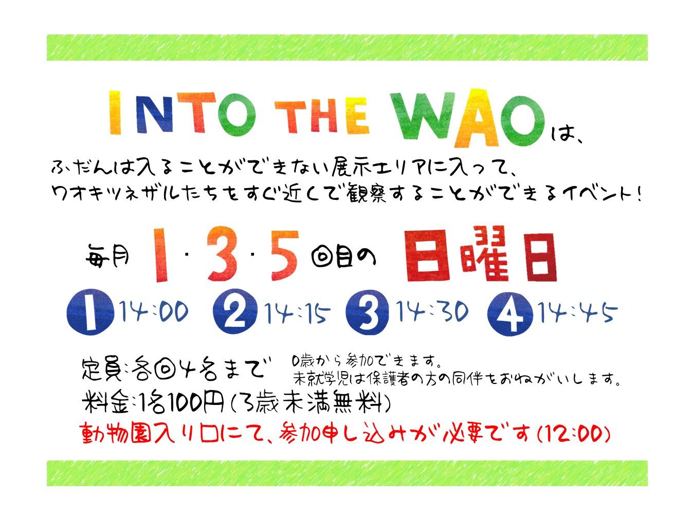 Into the WAO.jpg