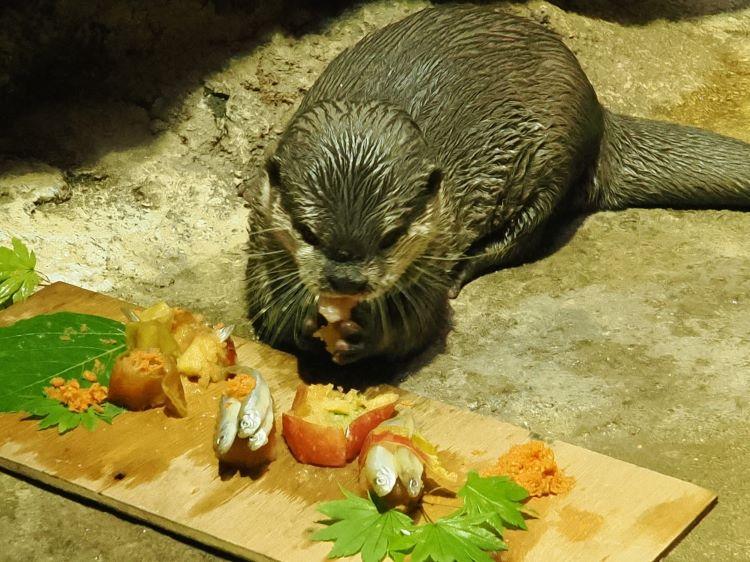食べている様子