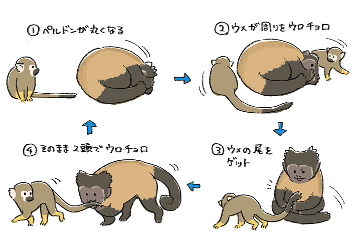 ペルウメ遊び