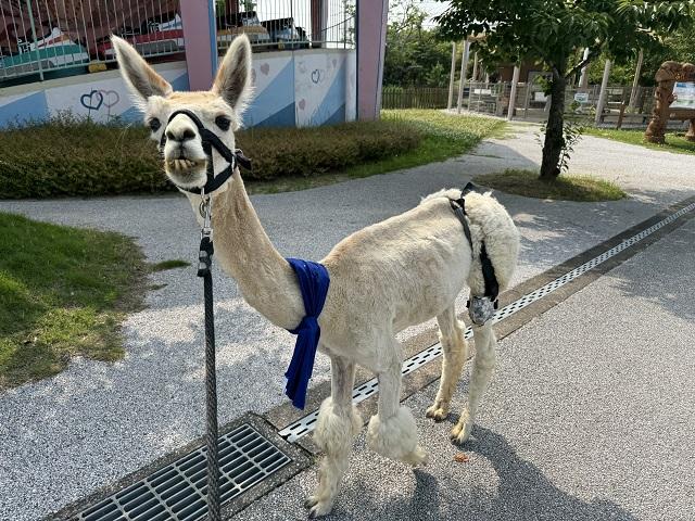 1JPG